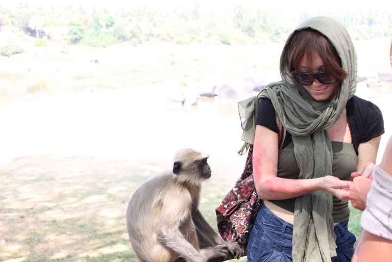 They enjoy getting fed by the tourists.